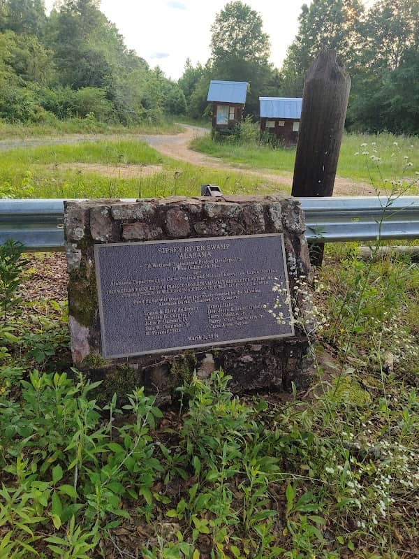 Sipsey River Recreation area - Image 1