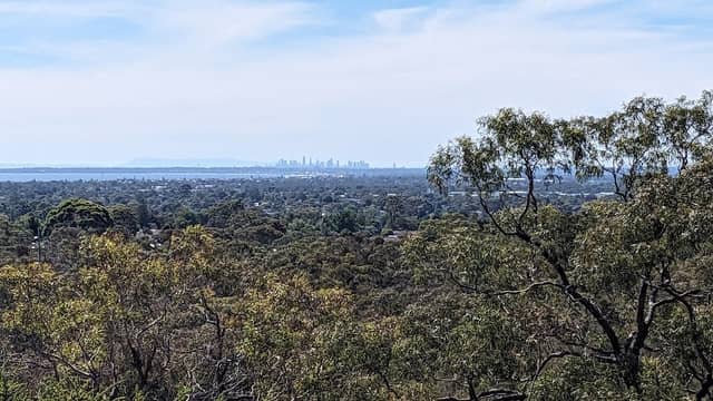 The Pines Flora and Fauna Reserve (Parks Victoria) - Image 1