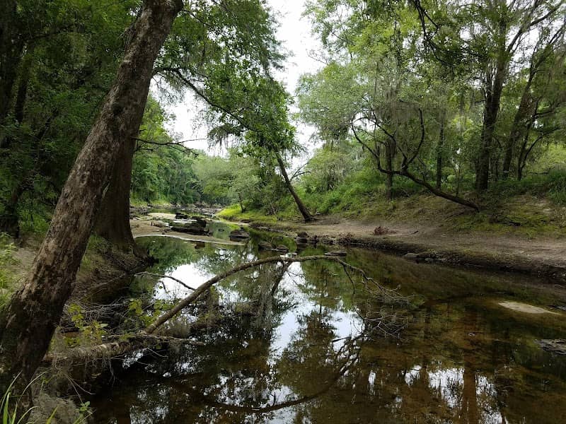 Twin Rivers State Forest - Image 1