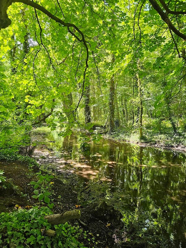 Oare Gunpowder Works Country Park - Image 1