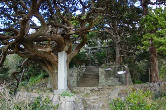 Yoshidashirotori Shrine - Image 1