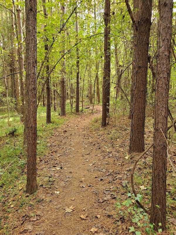 Brumley Forest Nature Preserve - Image 1