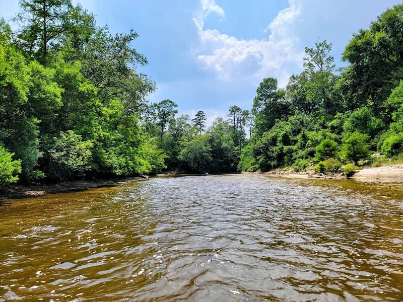 Black Creek Wilderness - Image 2