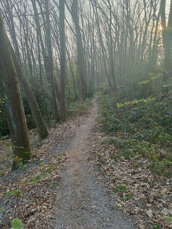 Klosterwald - Image 3
