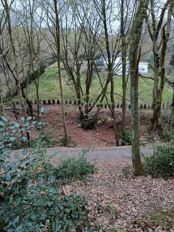 Klosterwald - Image 2