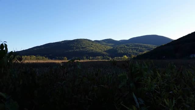 West Rutland Marsh - Image 1