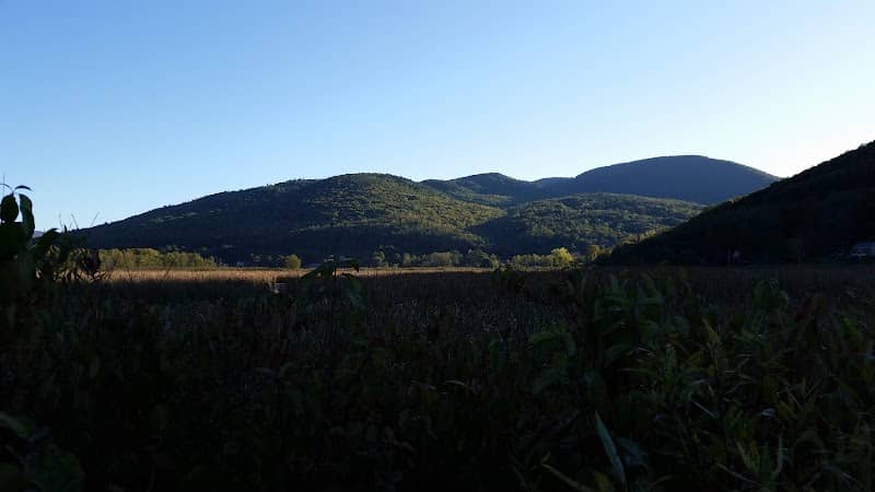 West Rutland Marsh - Image 1