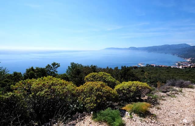 Cala Gonone Viewpoint - Image 1