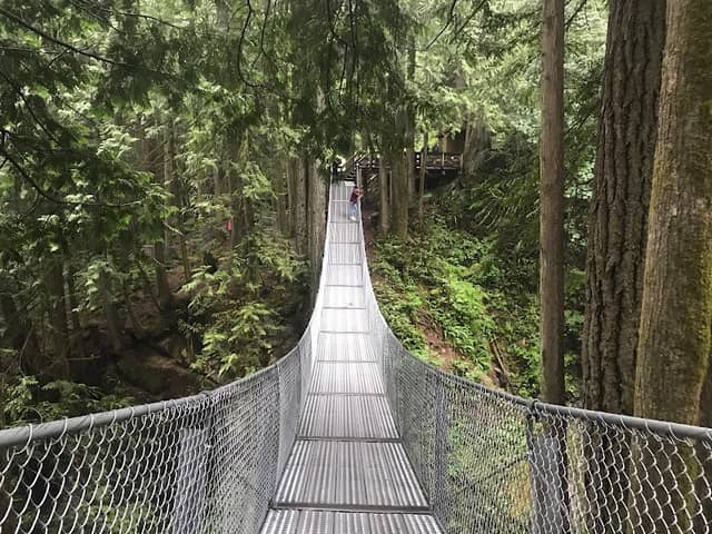 Cascade Falls - Image 2