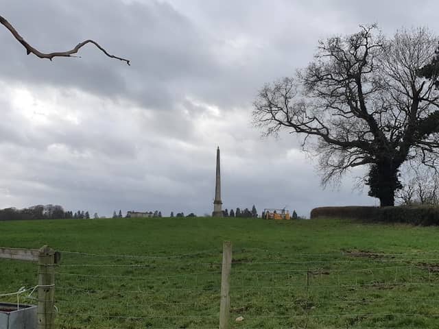 Umberslade Obelisk - Image 2