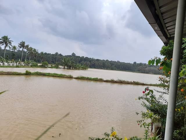 Puthanchira Paddy Fields - Image 1