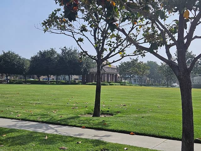 Garden Park - Image 2