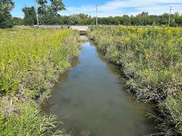Pederson Nature Preserve - Image 2