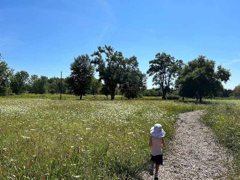 Pederson Nature Preserve - Image 1