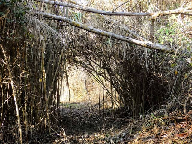 Rincones de los Embarcaderos - Image 3