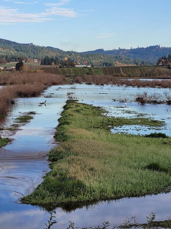 Levee Trail - Image 1