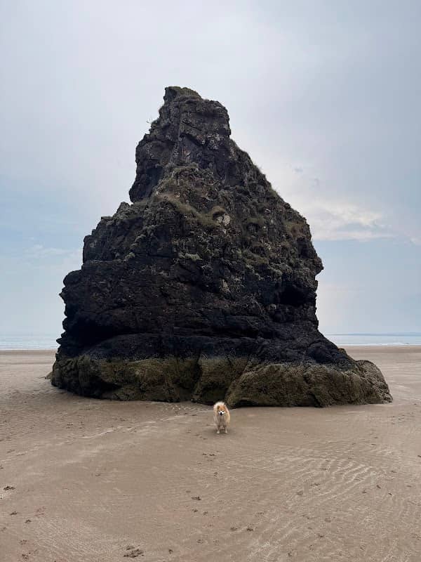 Beach Cave - Image 1