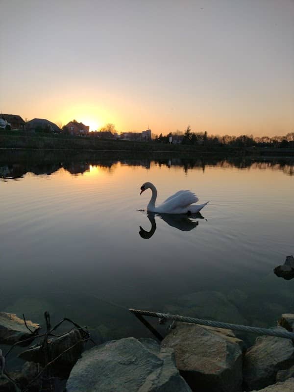 Zrenjanin, marina - Image 2