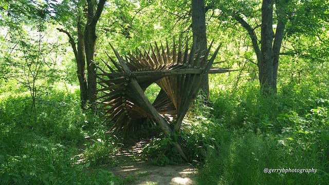 Warnham Local Nature Reserve - Image 3