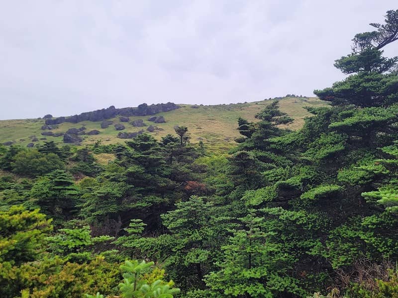 장구목오름 - Image 2