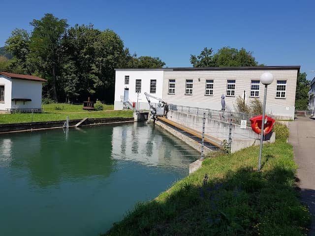 Limmat Sandbank - Image 2