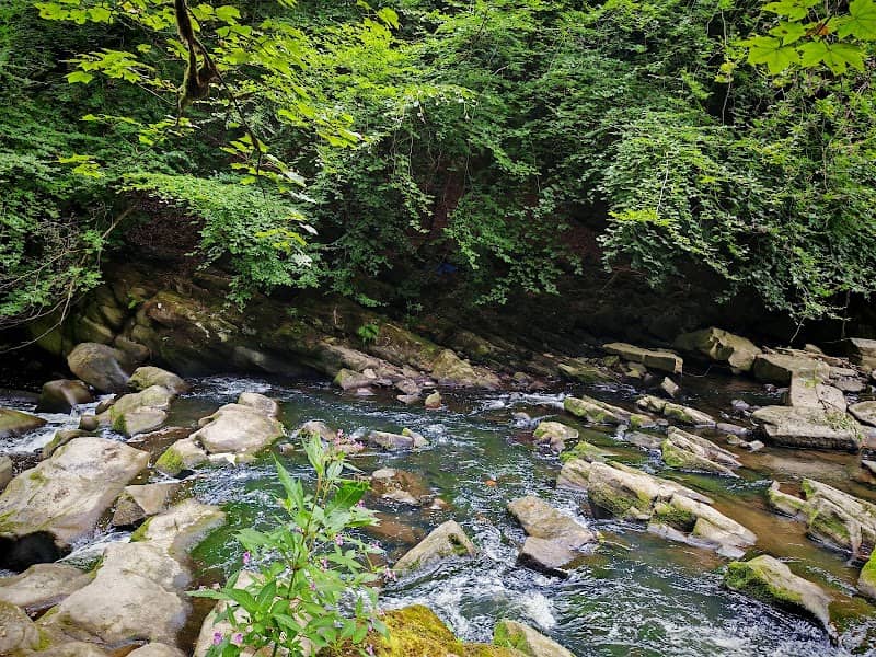 Hoghton Bottoms - Image 1