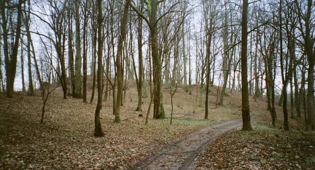 Birštoniškių piliakalnis - Image 1