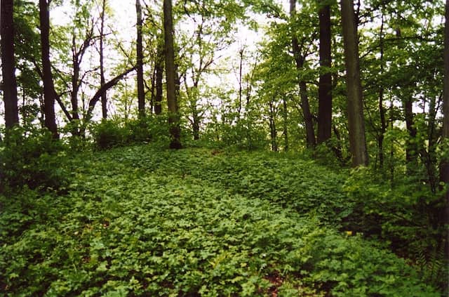 Birštoniškių piliakalnis - Image 2