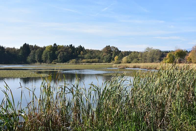 Krajinski park Rače - Image 1