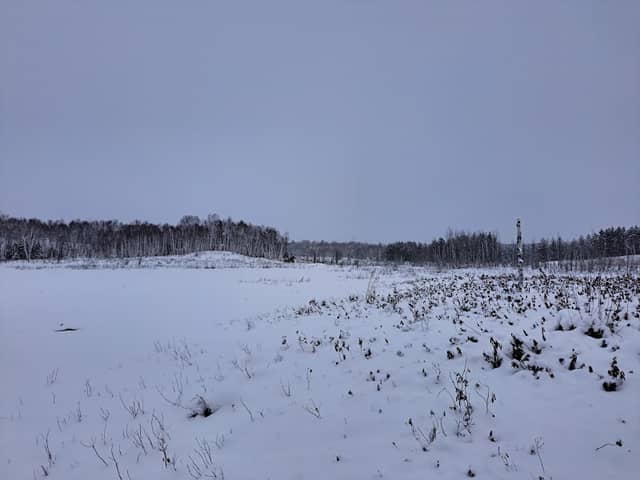 Blue Jay Path & Willow's Way Trails - Image 2