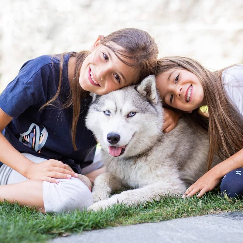 Husky-Rando SA - Image 1