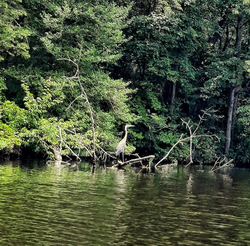 Raccoon Pond - Kayak Launch - Image 1