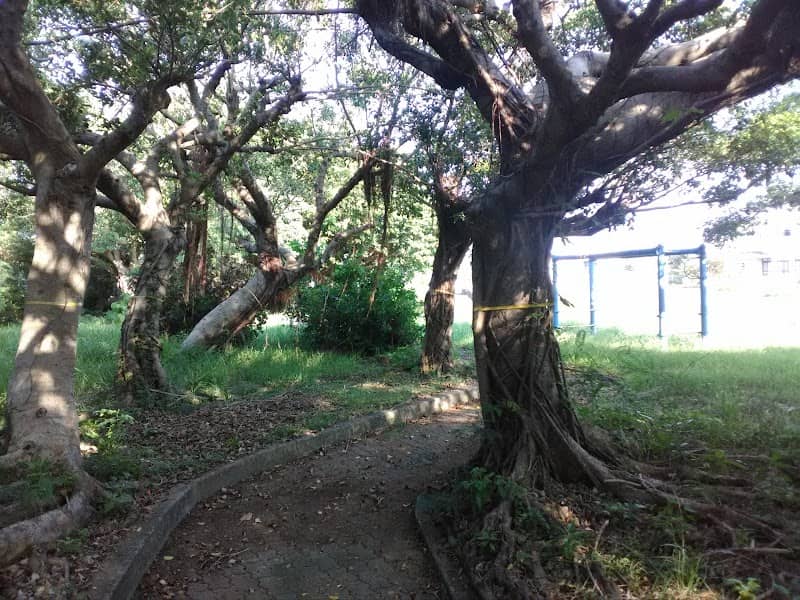 Midori Park - Image 1