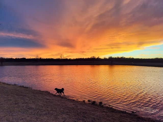 Ten Acre Lake Park - Image 1