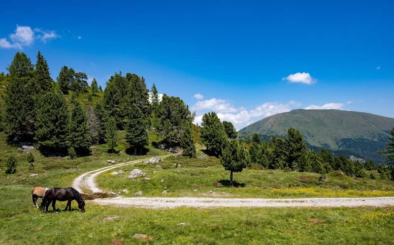 Nockalm Biosphere Reserve - Image 1