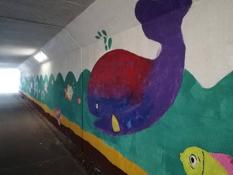 De Pesser Zeetunnel - Image 1