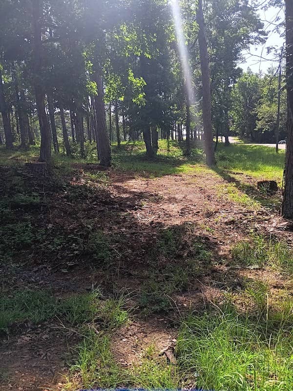 McFadden Park - Image 2