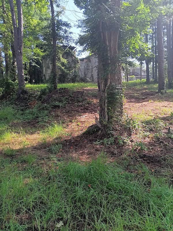 McFadden Park - Image 1