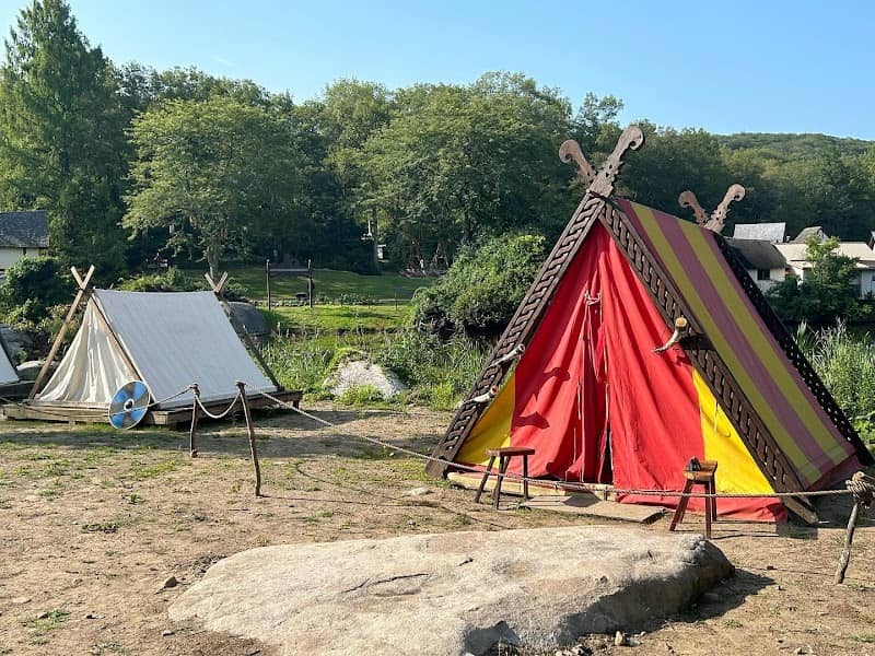 Nyr Jorvik Vikings - Image 2