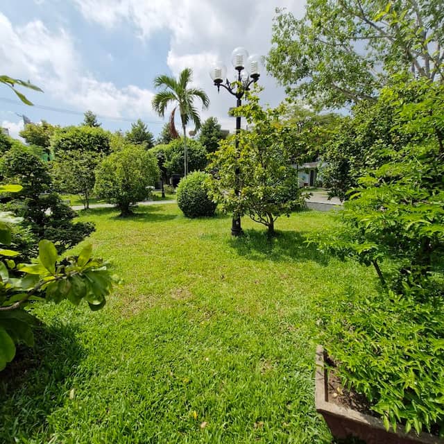 Biểu tượng Hoa sen - Image 2