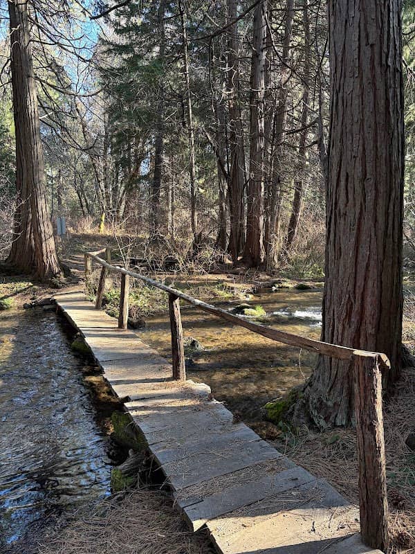 Elsa Rupp Nature Study Area - Image 2