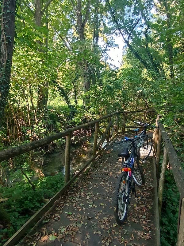 Bosco degli Ontani - Image 1