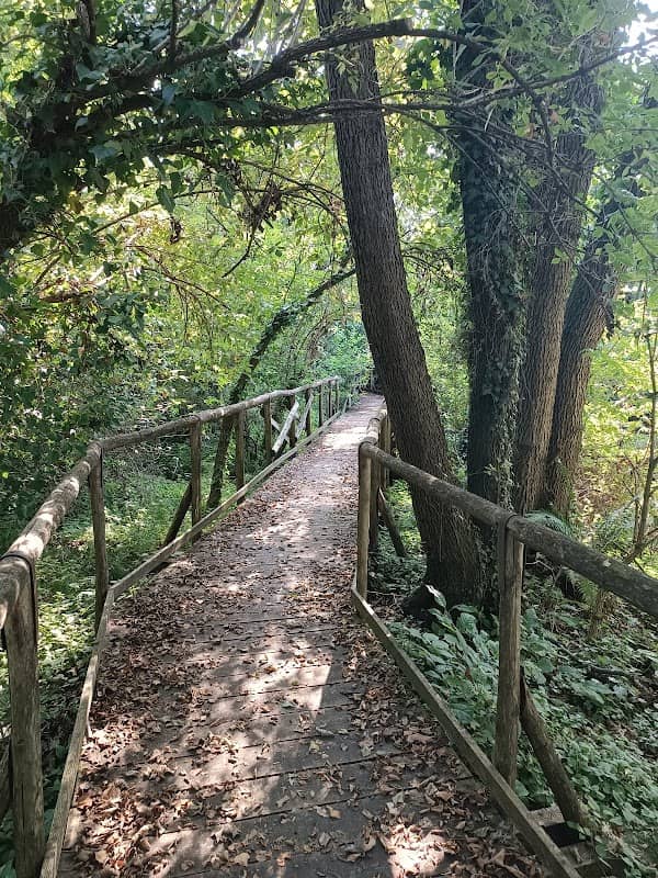 Bosco degli Ontani - Image 2