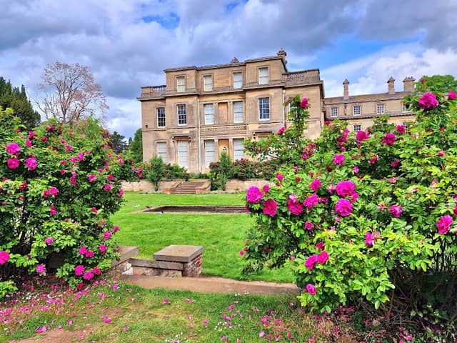 Normanby Hall Country Park - Image 2