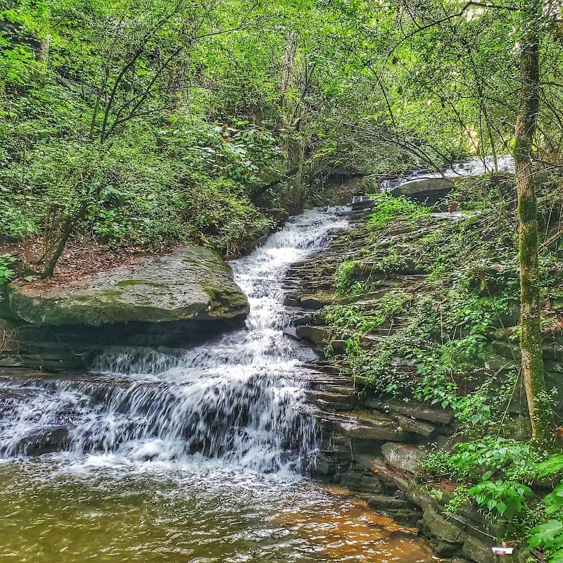 Nectar Falls - Image 1