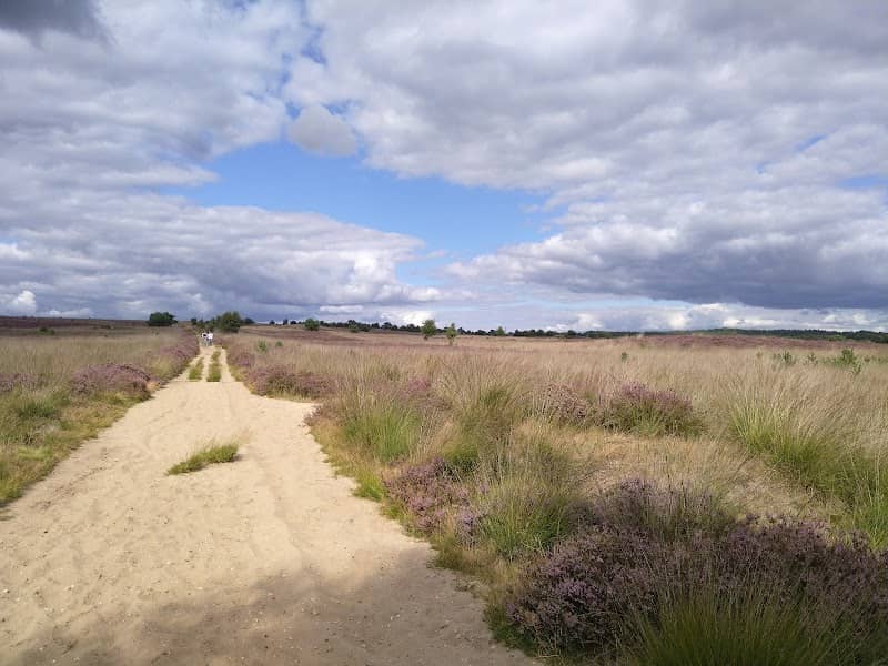 Rozendaalse Veld - Image 1