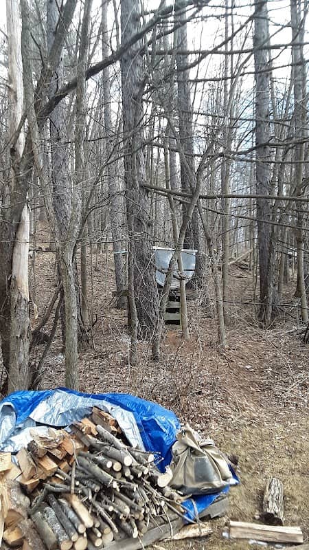 Hills Creek Maple Syrup House - Image 2