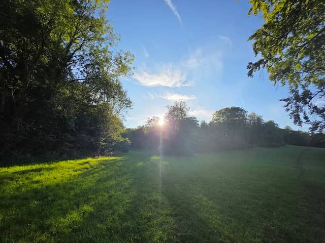 Manor Park - Image 1