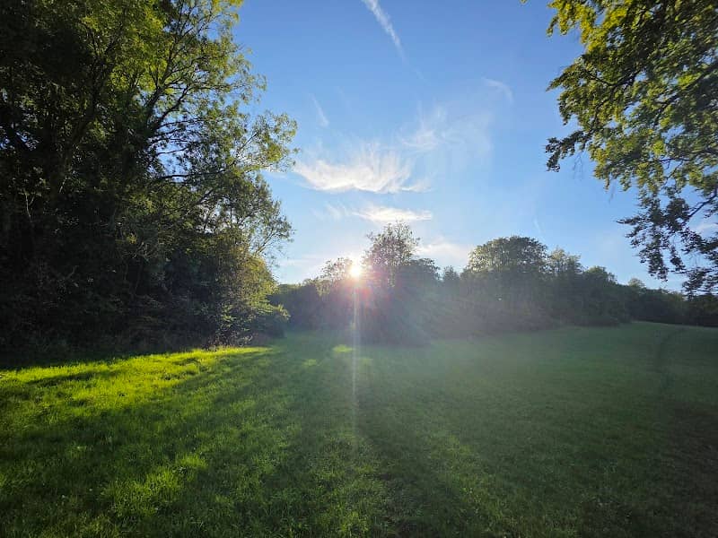 Manor Park - Image 1