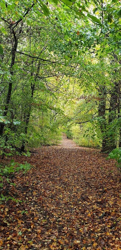 Manor Park - Image 2